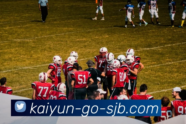 App Interface Preview