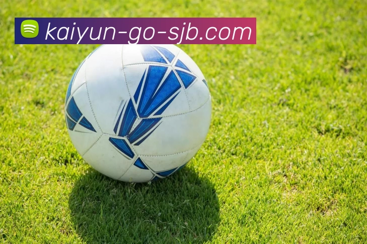 开云移动端，开云移动端，开云官网，开云APP，开云随时观看APP 封面图